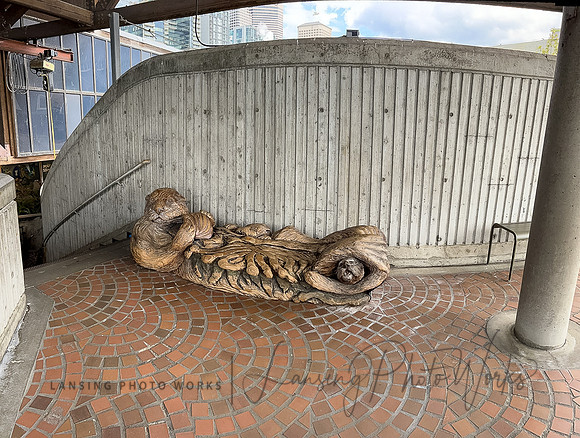 SeattleD-257