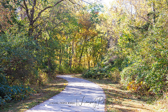 Angel Falls Trail-20