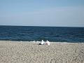 Cape-188