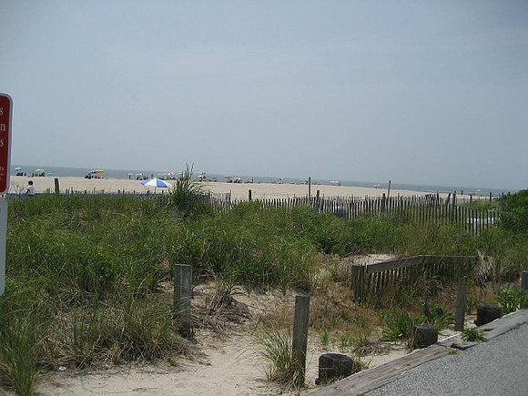 Cape-119