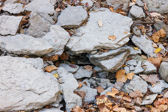 Angel Falls Trail-17