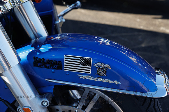 VeteransParade-15