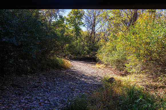 Angel Falls Trail-16