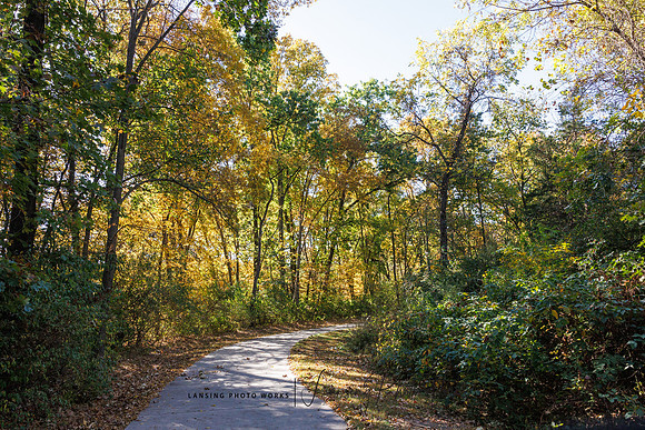 Angel Falls Trail-22