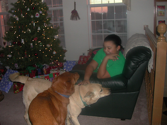 xmas1-8