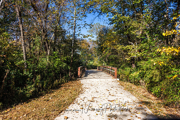 Angel Falls Trail-37