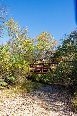 Angal Fall 2024-11