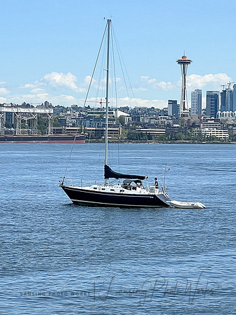 SeattleD-207