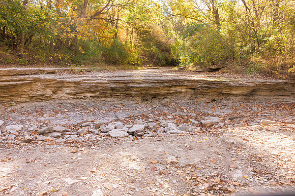 Angal Fall 2024-7