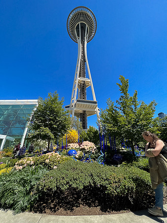 SeattleD-129