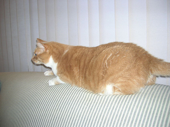 Lisa-199