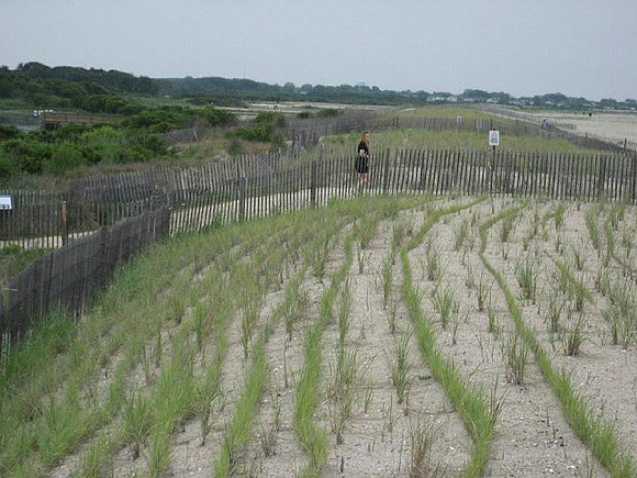 Cape-170