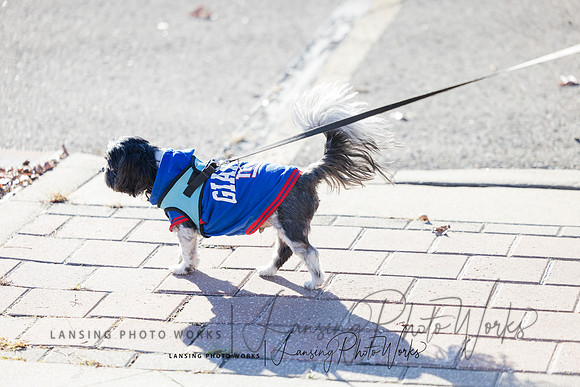 VeteransParade-48