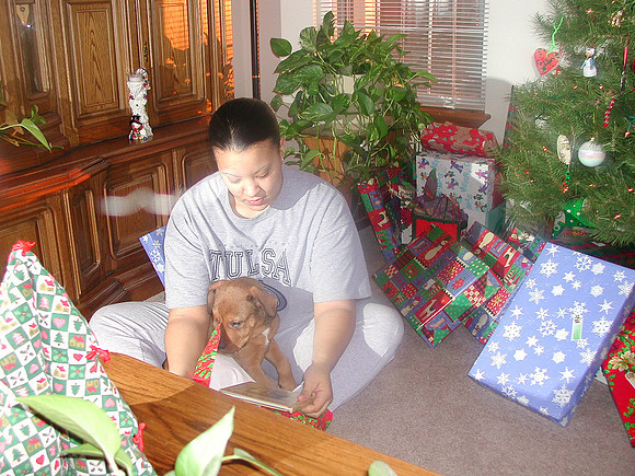 xmas1-10