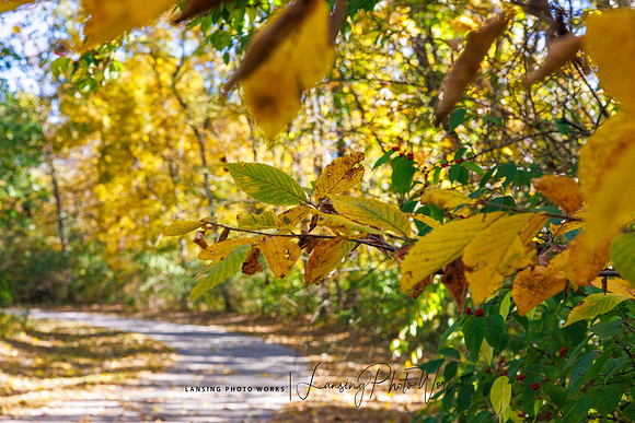 Angel Falls Trail-31