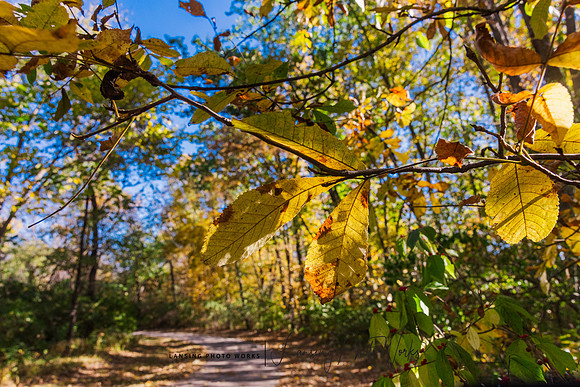 Angel Falls Trail-26