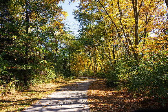 Angel Falls Trail-29